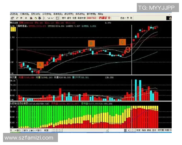 深入分析重庆排球队反击战术的独特魅力与实战应用